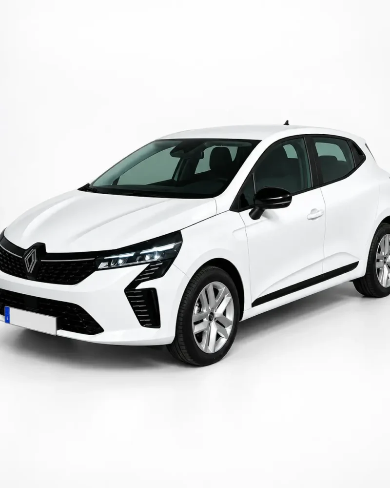 RENAULT NUEVO CLIO V EVOLUTION DCI